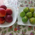 Bed & Breakfast Civico 11 Veglie