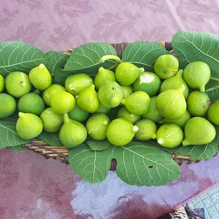 Civico 11 Bed & Breakfast 4*