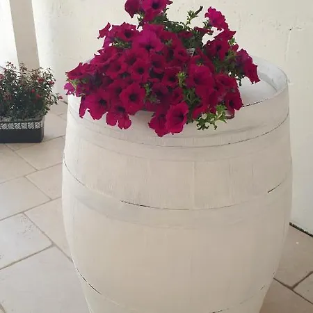 Civico 11 4* فيليي