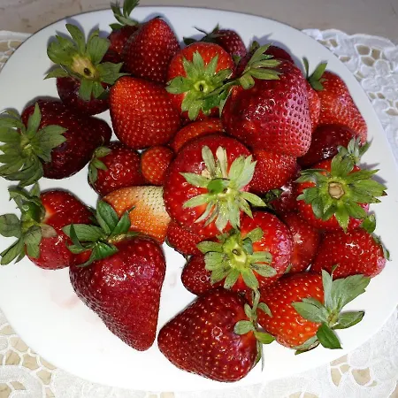 Civico 11 فيليي