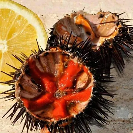 Civico 11 فندق مبيت وإفطار