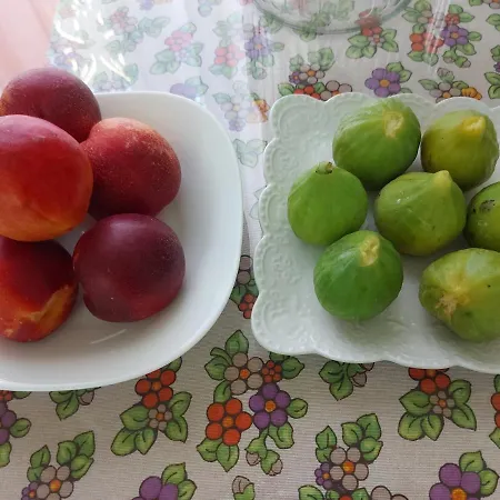 Civico 11 فندق مبيت وإفطار 4*