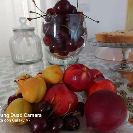 Bed & Breakfast Civico 11