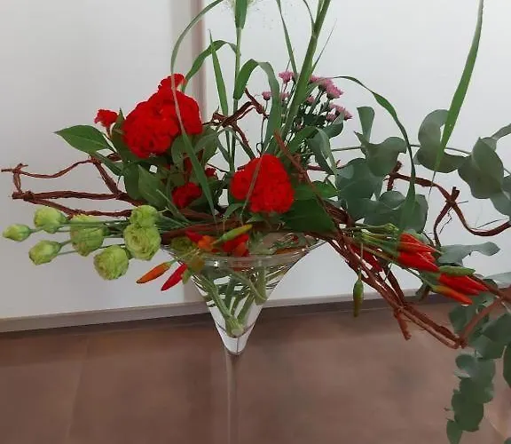 Panzió Civico 11 4*